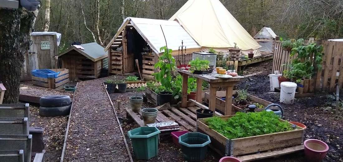 Garden and tent