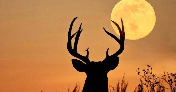 Full Moon Names
