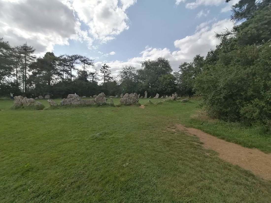 A mown path through a green meadow towards trees